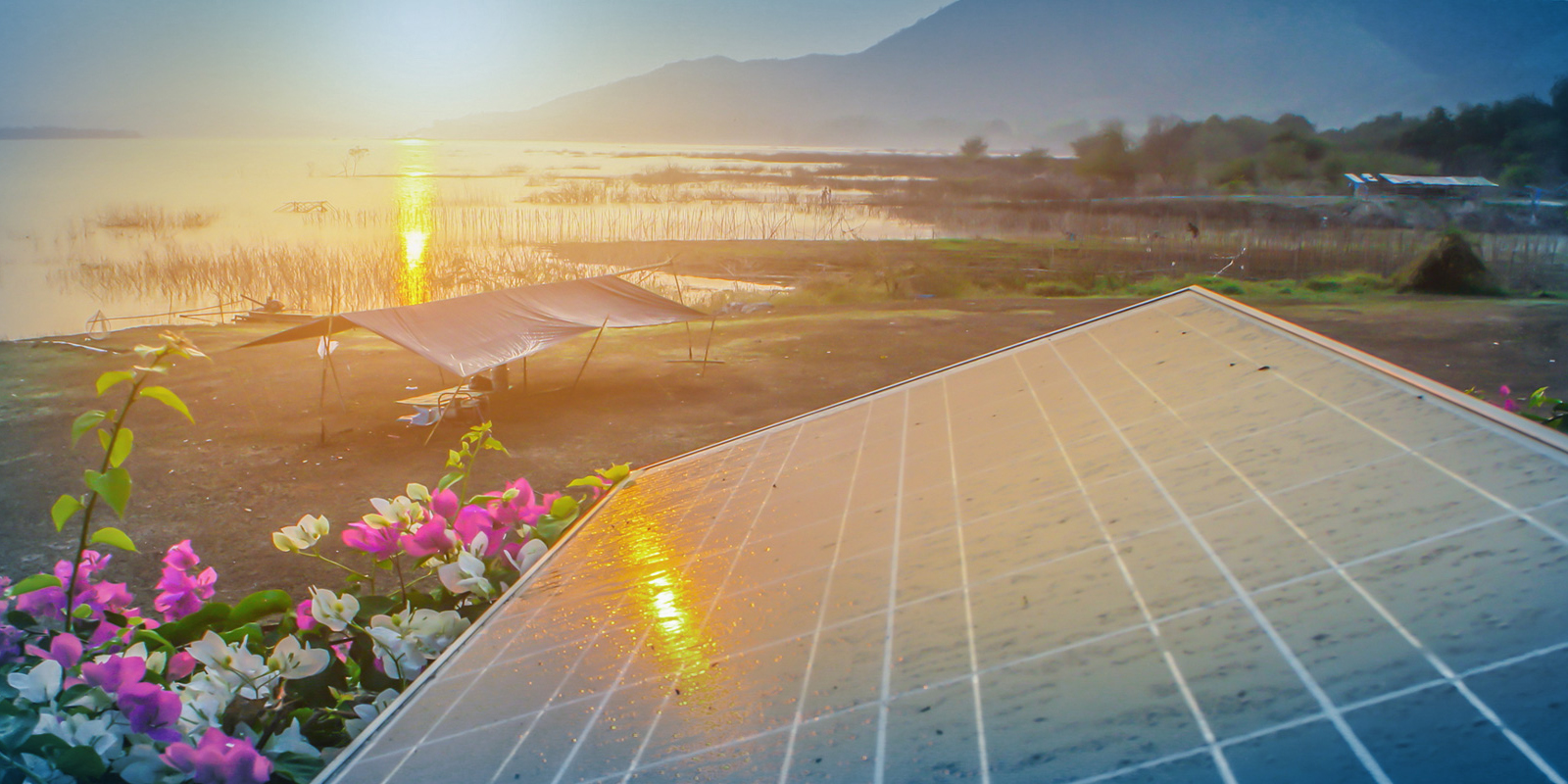 Vietnam's New Solar PPA: Strong Developer Interest Despite Bankability Concerns