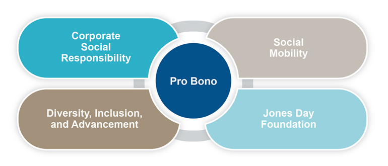 pro bono