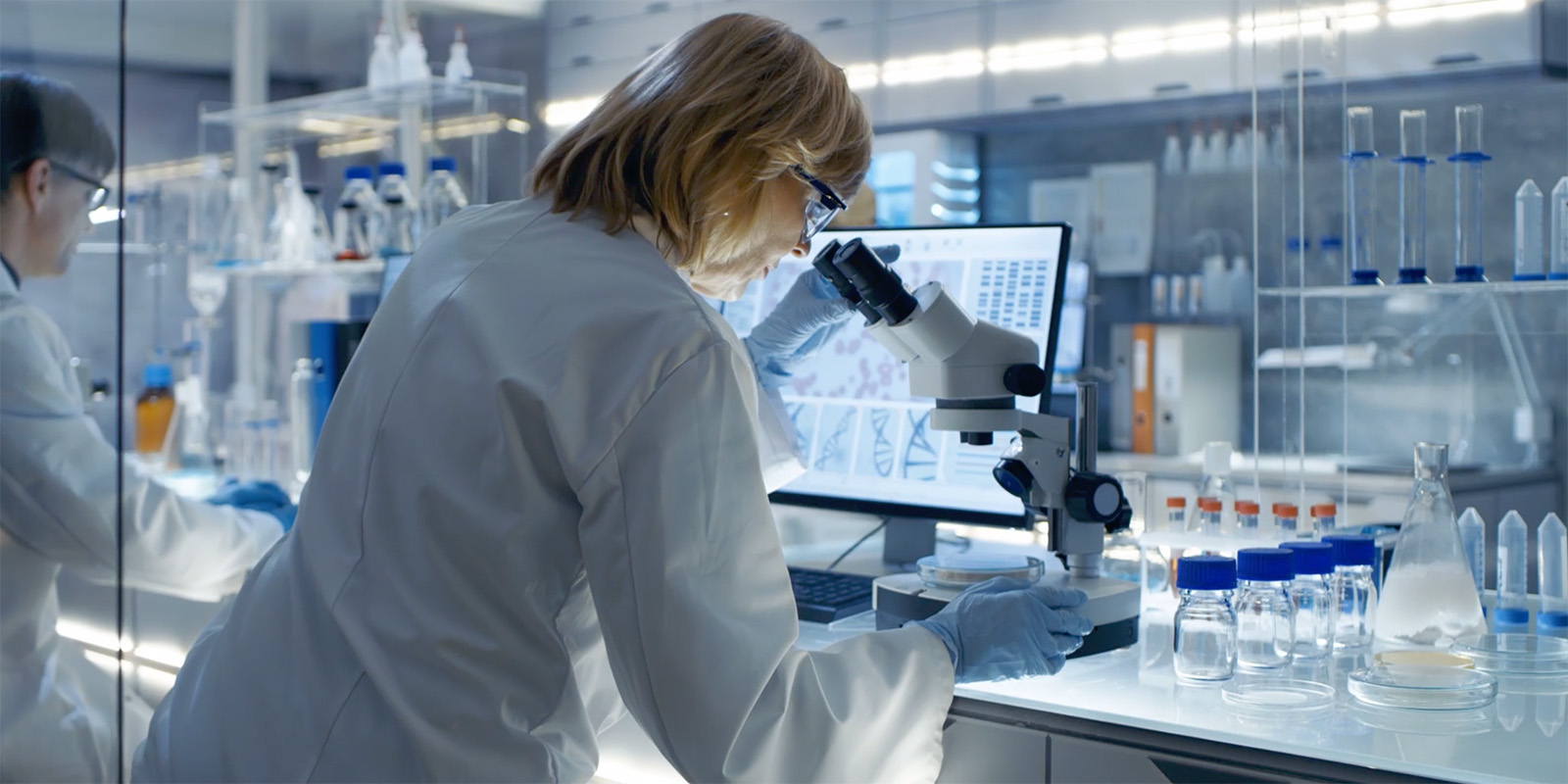 Life Sciences IP