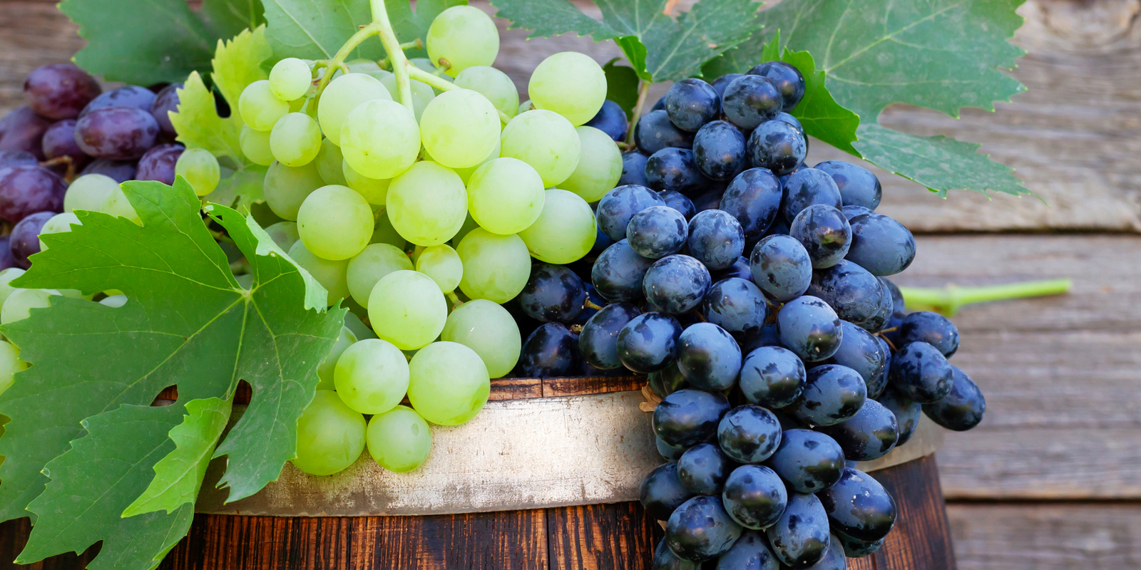 Vintage Wine Estates - Fresh green and purple grapes resting on a wooden barrel, symbolizing the perfect harvest for premium wine production.