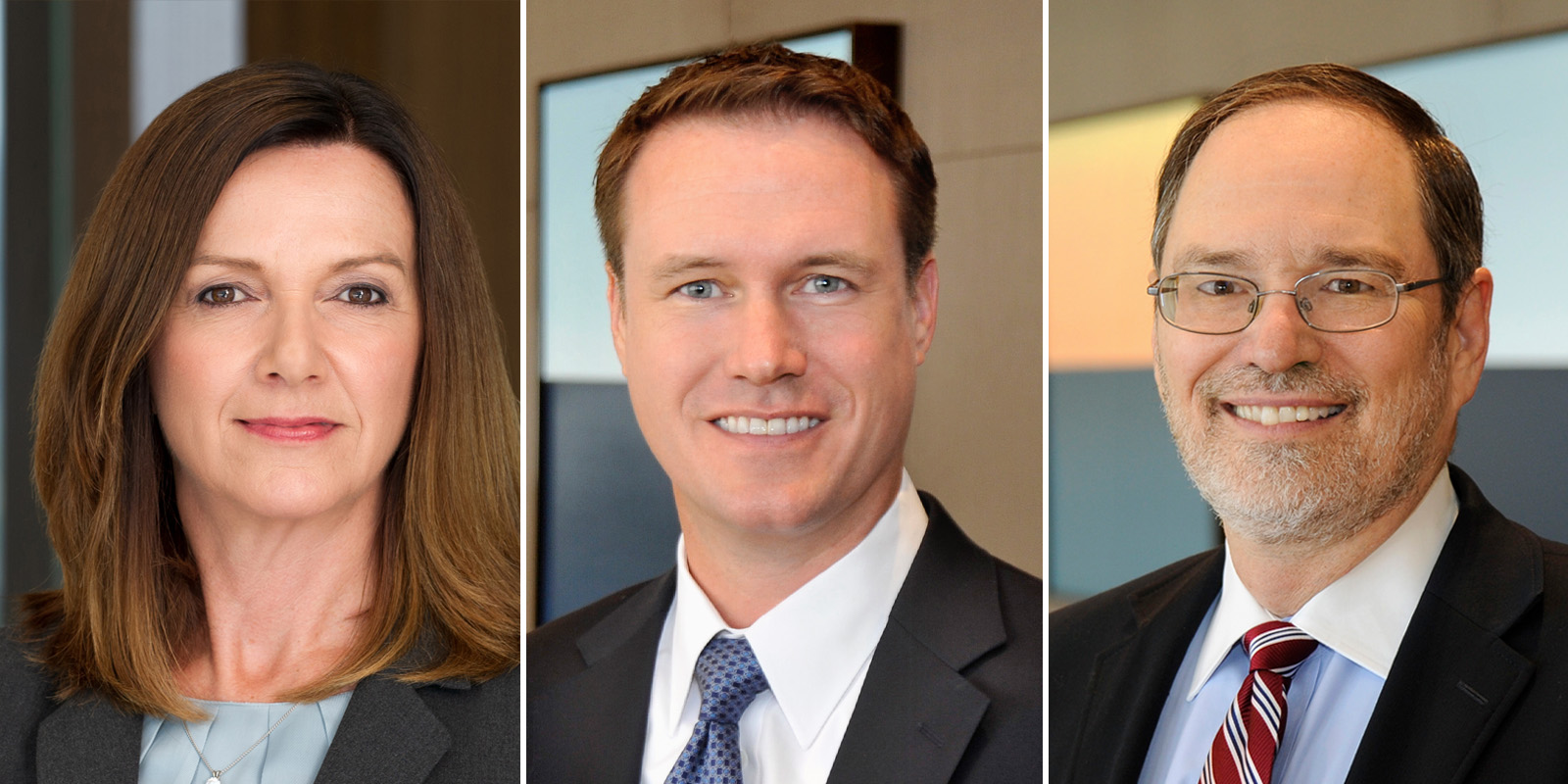 Karen P. Hewitt, Christopher Lovrien, and Daniel D. McMillan