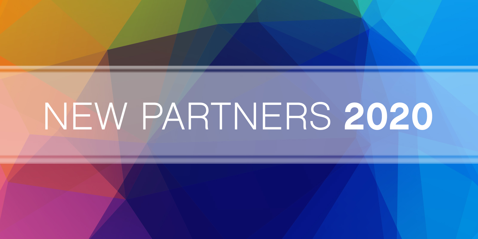 New Partners 2020