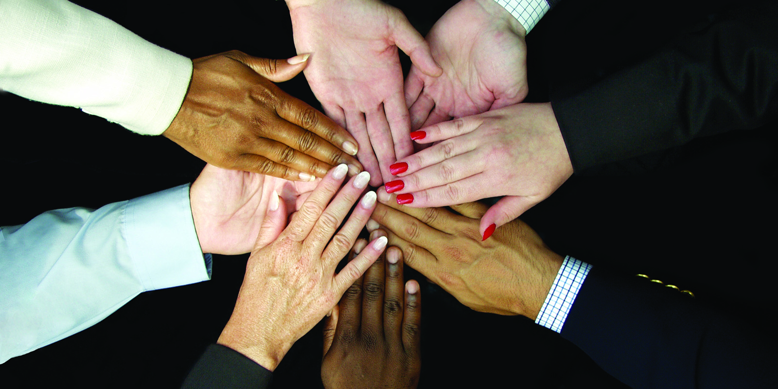 Diversity