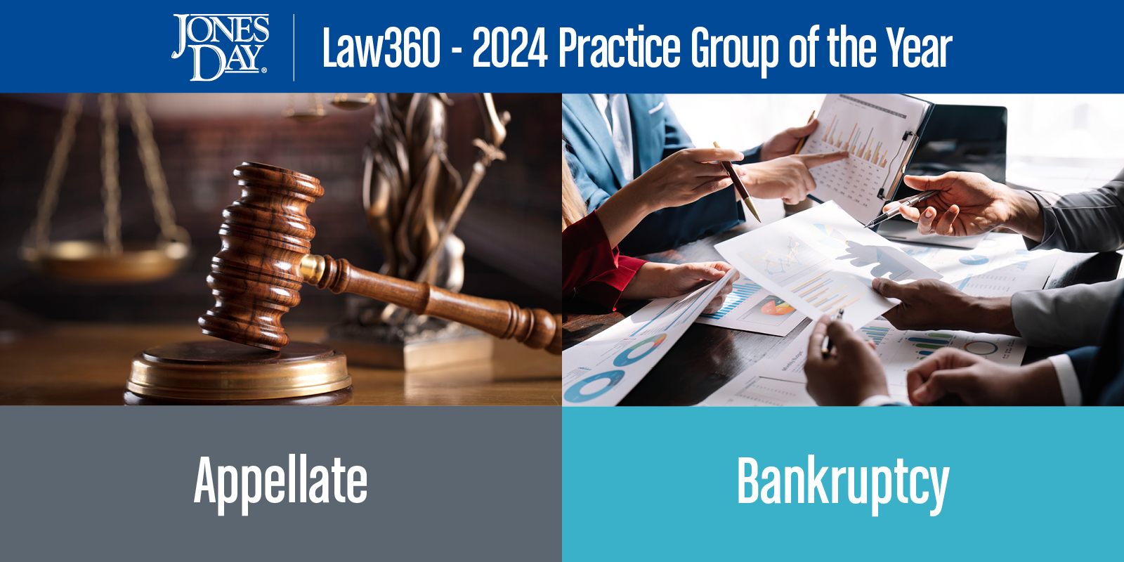 Law360_PGOTY_Infographic 2024_SOCIAL