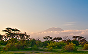 Antitrust Alert: COMESA Amends Antitrust Rules Requiring Merger Filings in Eastern and Southern Africa