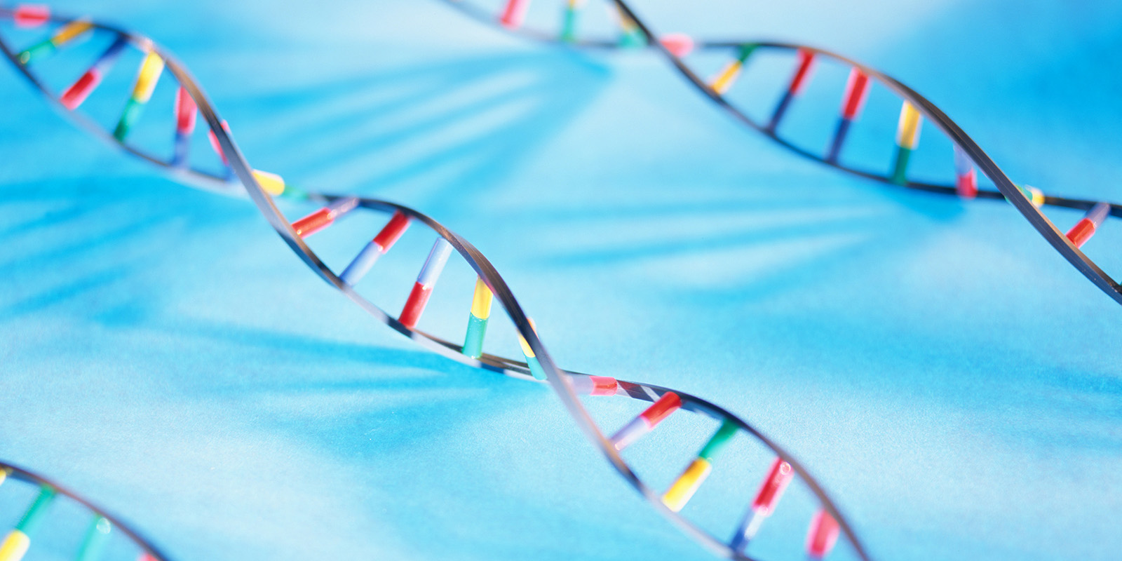 French Sunshine Obligations Clarified and Extended