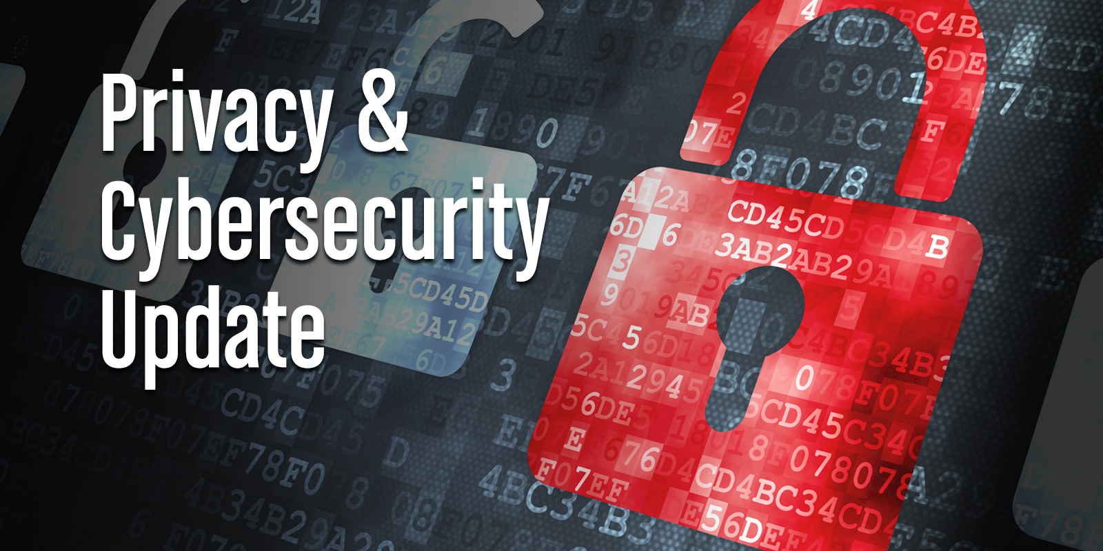 Global Privacy & Cybersecurity Update Vol. 13