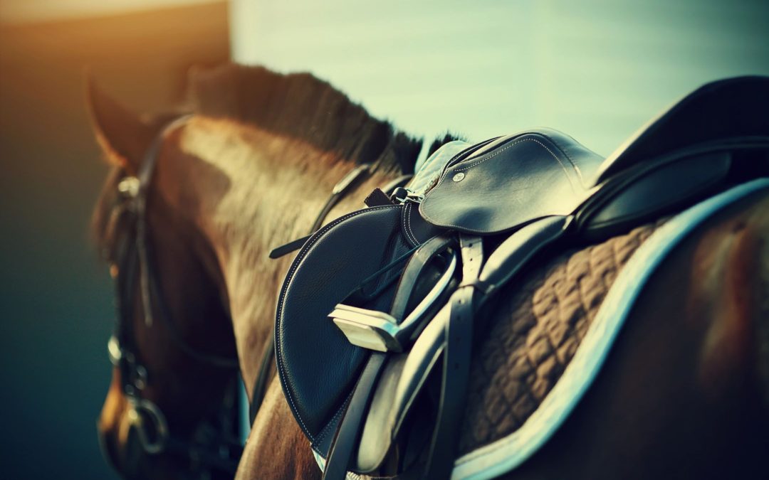 A horse with a saddle