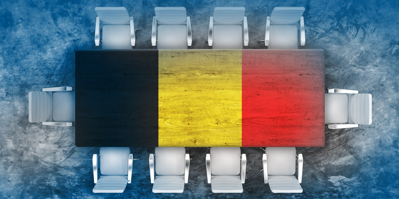 Mandatory Disclosure: Belgium Requires Large Companies to Provide Certain Non-Financial Information