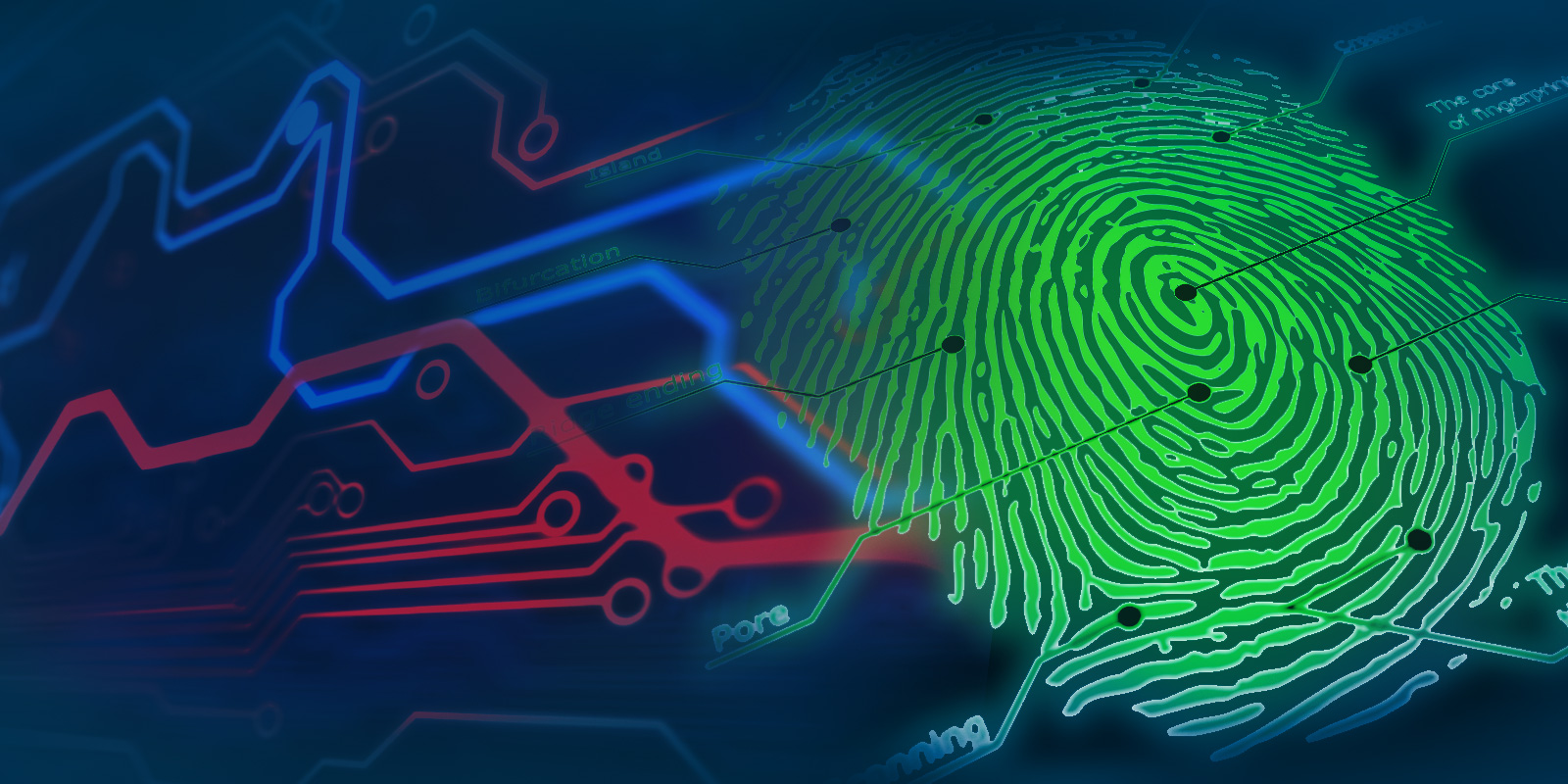 Appellate Court Limits Who May Sue Under Biometric Information Privacy Act