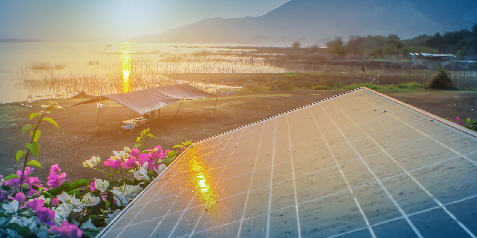 Vietnam's New Solar PPA: Strong Developer Interest Despite Bankability Concerns