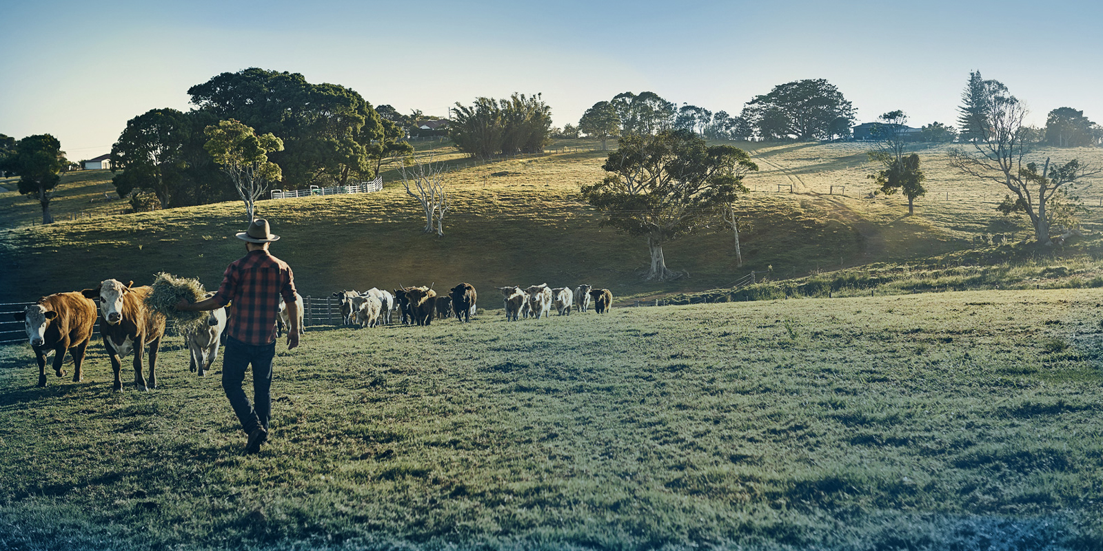 Australian Government Tries to "Level the Playing Field" for Purchases of Agricultural Land