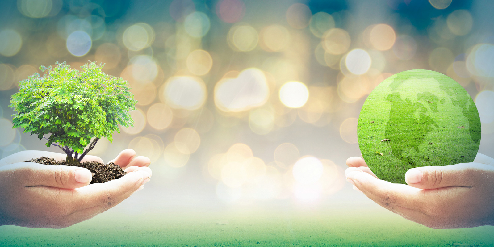 BlackRock_Focuses_SOCIAL