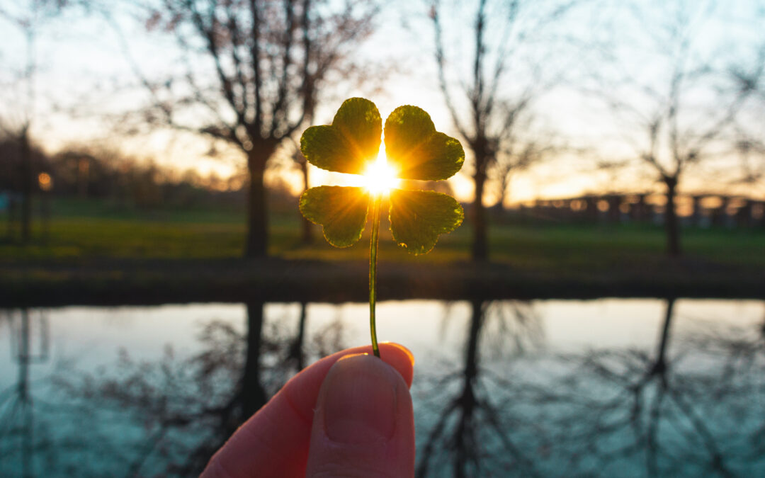 Four Leaf Clover