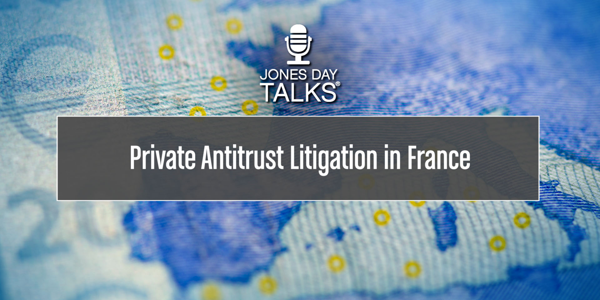 JONES DAY TALKS  Antitrust Litigation in France