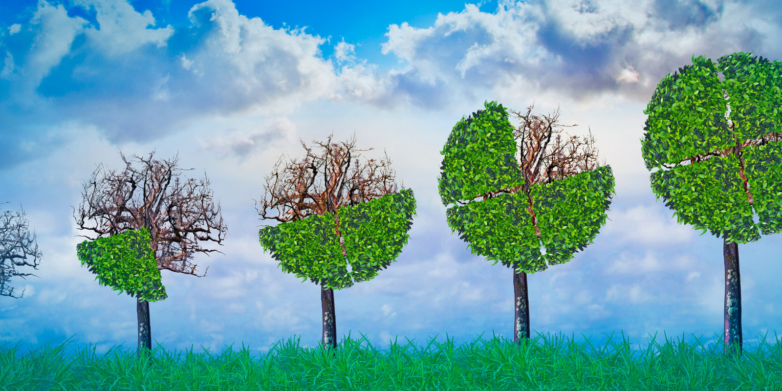 SEC_to_Review_Climate_Related_Disclosure_SOCIAL