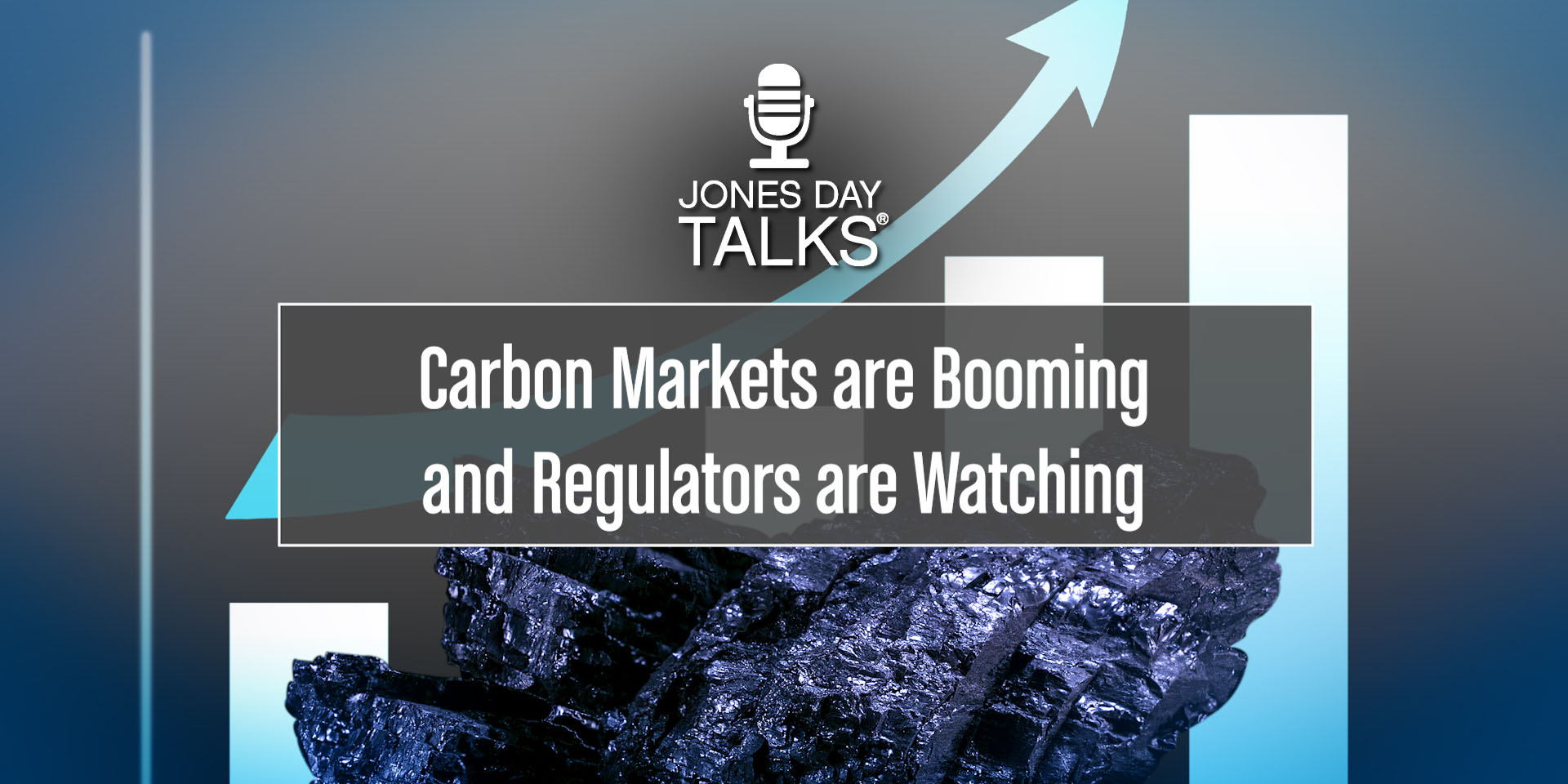 JONES DAY TALKS  Carbon Markets  SOCIAL