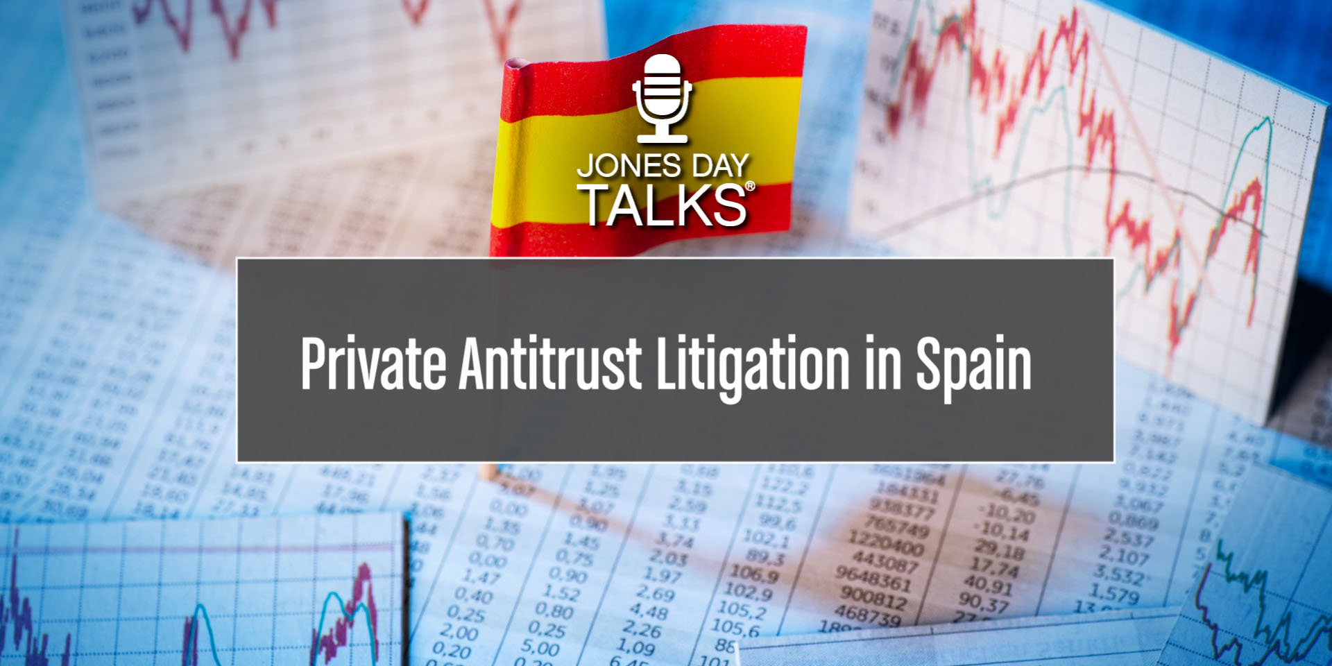 JONES DAY TALKS  Private Antitrust Litigation Sp