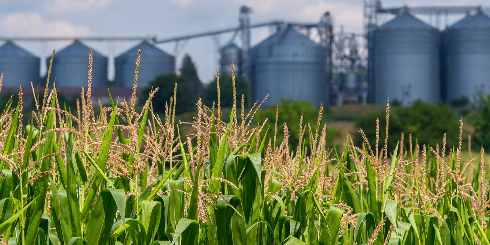 EUReleasesDraftAntitrustExemptionGuidelines_