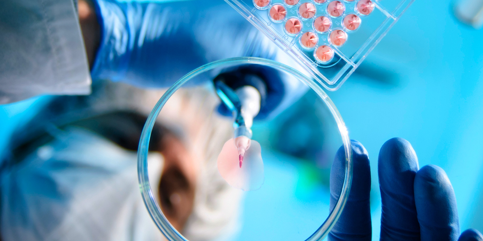 EPAProposesTSCAAmendmentstoImproveEfficienc