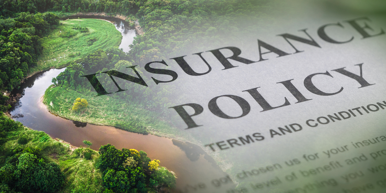 Defeating Insurer Climate Coverage 
