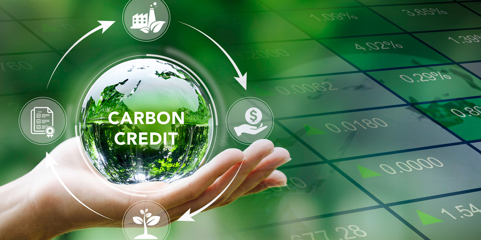 Carbon Credits: Verification Standards Explained - Greener Insights