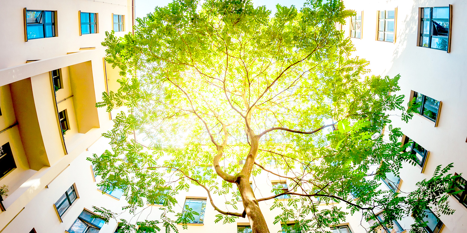 BiodiversityNetGainaNewRequirement_Commentar