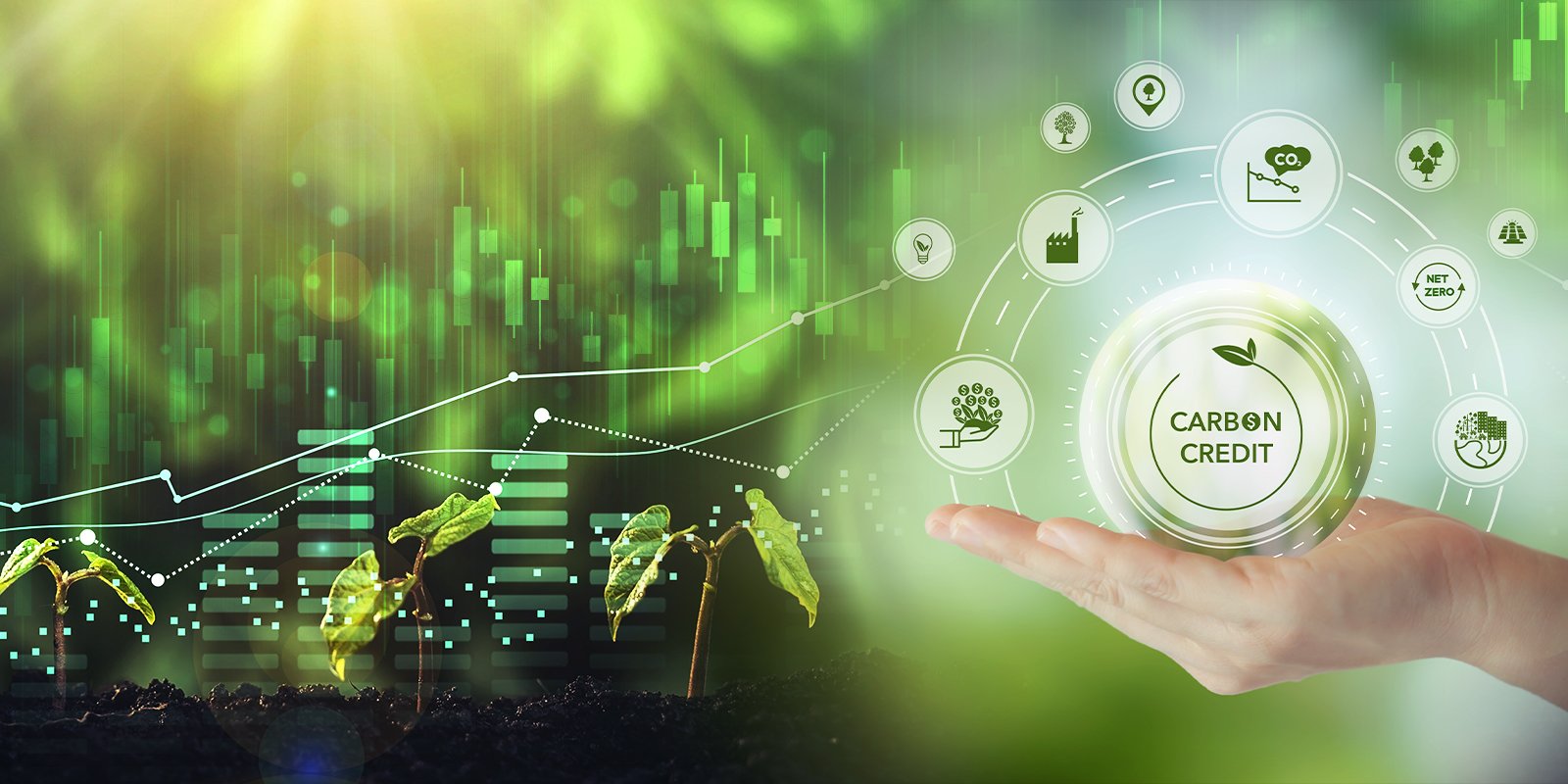 The CFTC Finalizes Guidance on Voluntary Carbon C