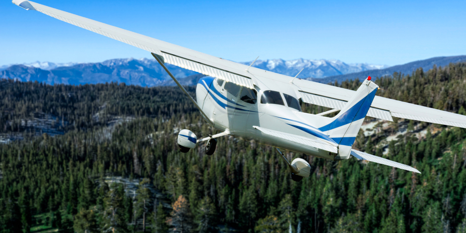 ●PLAYA EXECUTIVES / EXECUTIVE DECISIONS ○PLAYA EXECUTIVES / EXECUTIVE DECISIONS Montana Seeks