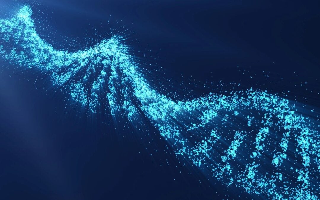 Federal Circuit Plans for Future Activity Created