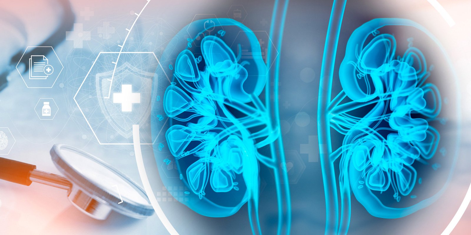 CMSUpdatesKidneyCareChoicesModel2500820so