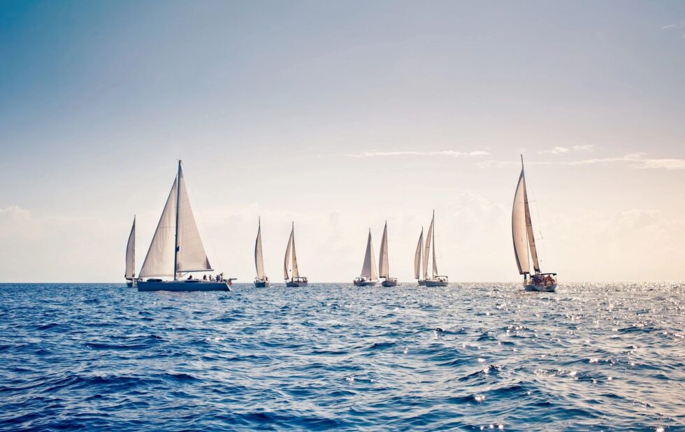 Navigating the New Discretionary Denial Bifurcate