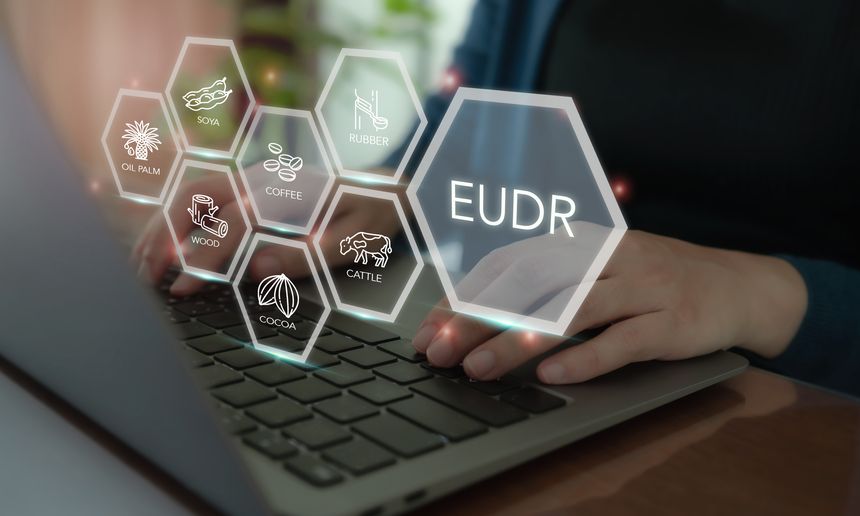 Will The EUDR Be Delayed For A Second Time