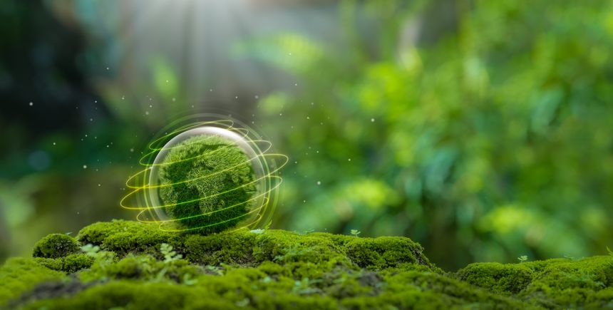 Legal Questions for Your Sustainability Team 4