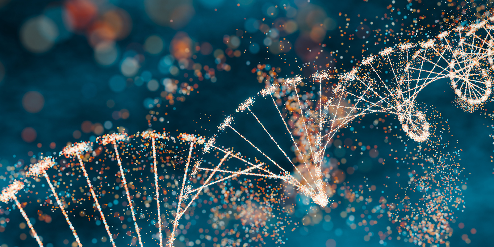 Innovative Insights Banner_SOCIAL