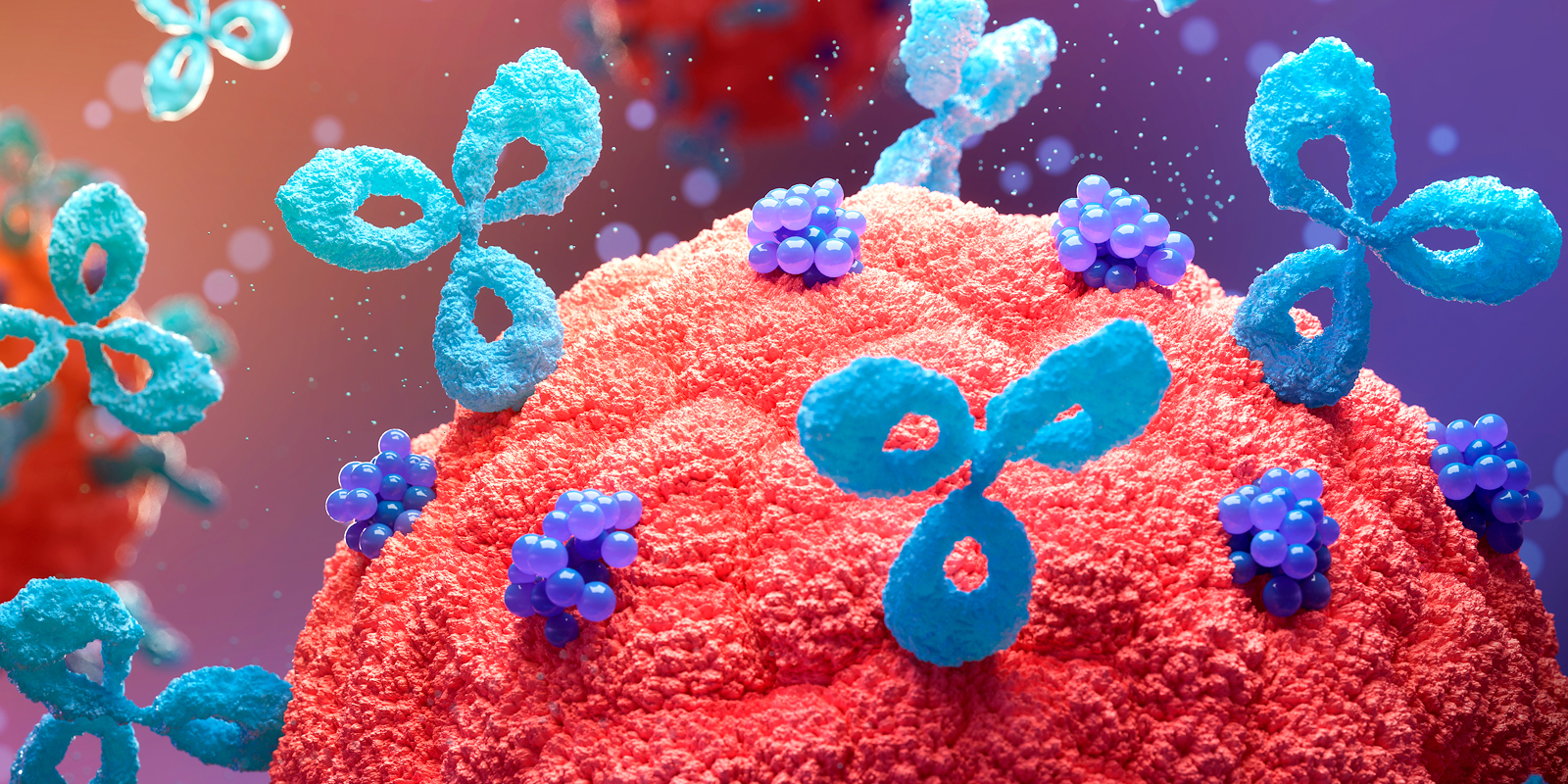 Illustration of antibodies binding to a cell surface, symbolizing UPC and EPO alignment on functional antibody patent claims.