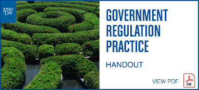 Government Regulation Practice Handout — view PDF